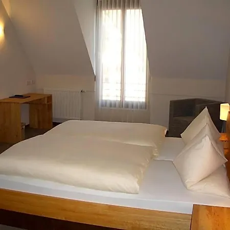 Hotel Sindel-buckel